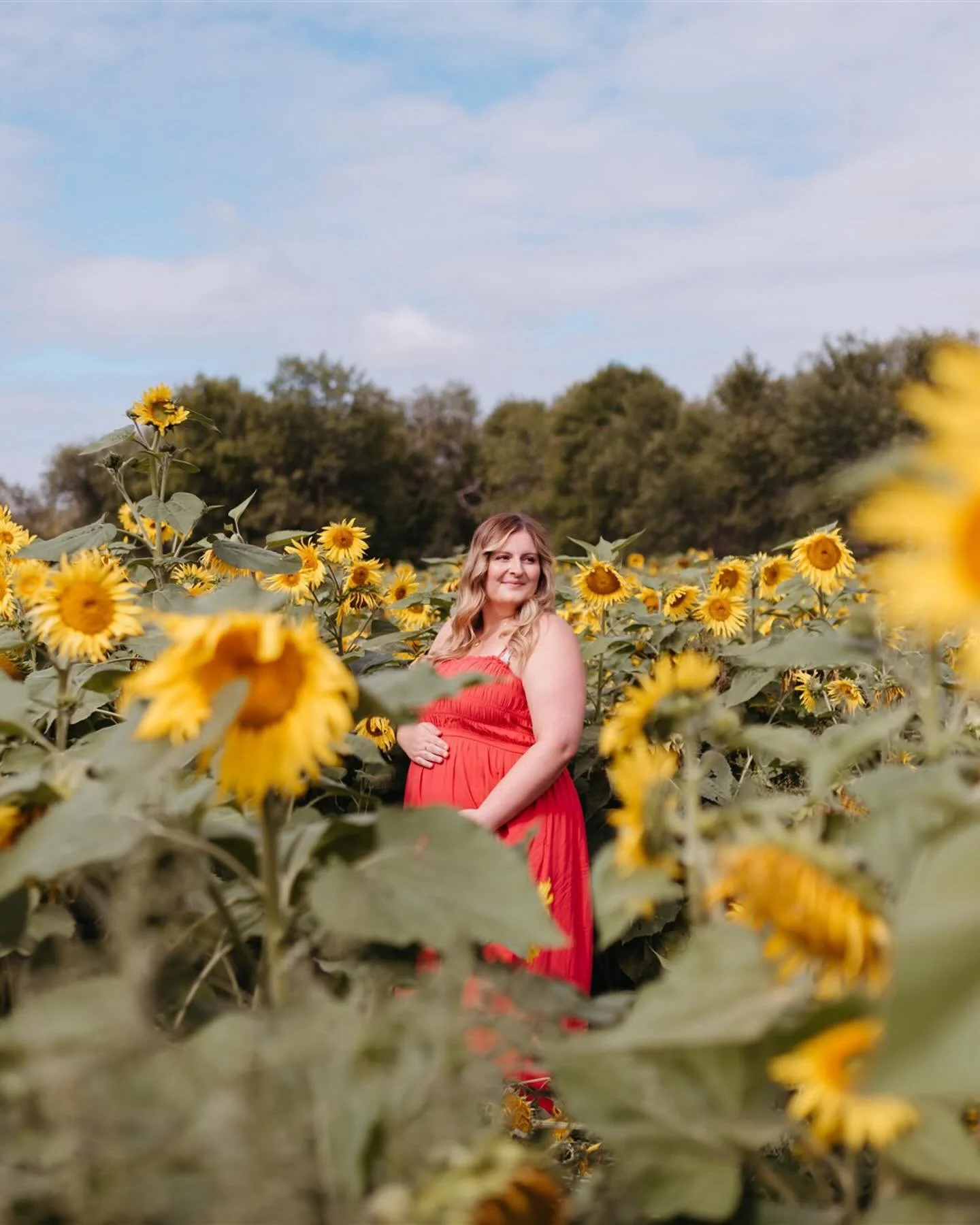What I thought was a classic maternity session for my giveaway winners turned into&hellip; 🥁🥁🥁 A SURPRISE PROPOSAL. 💍&hearts;️

Was such an honour to be part of this moment and to share the beauty of our sunflower field one last time.