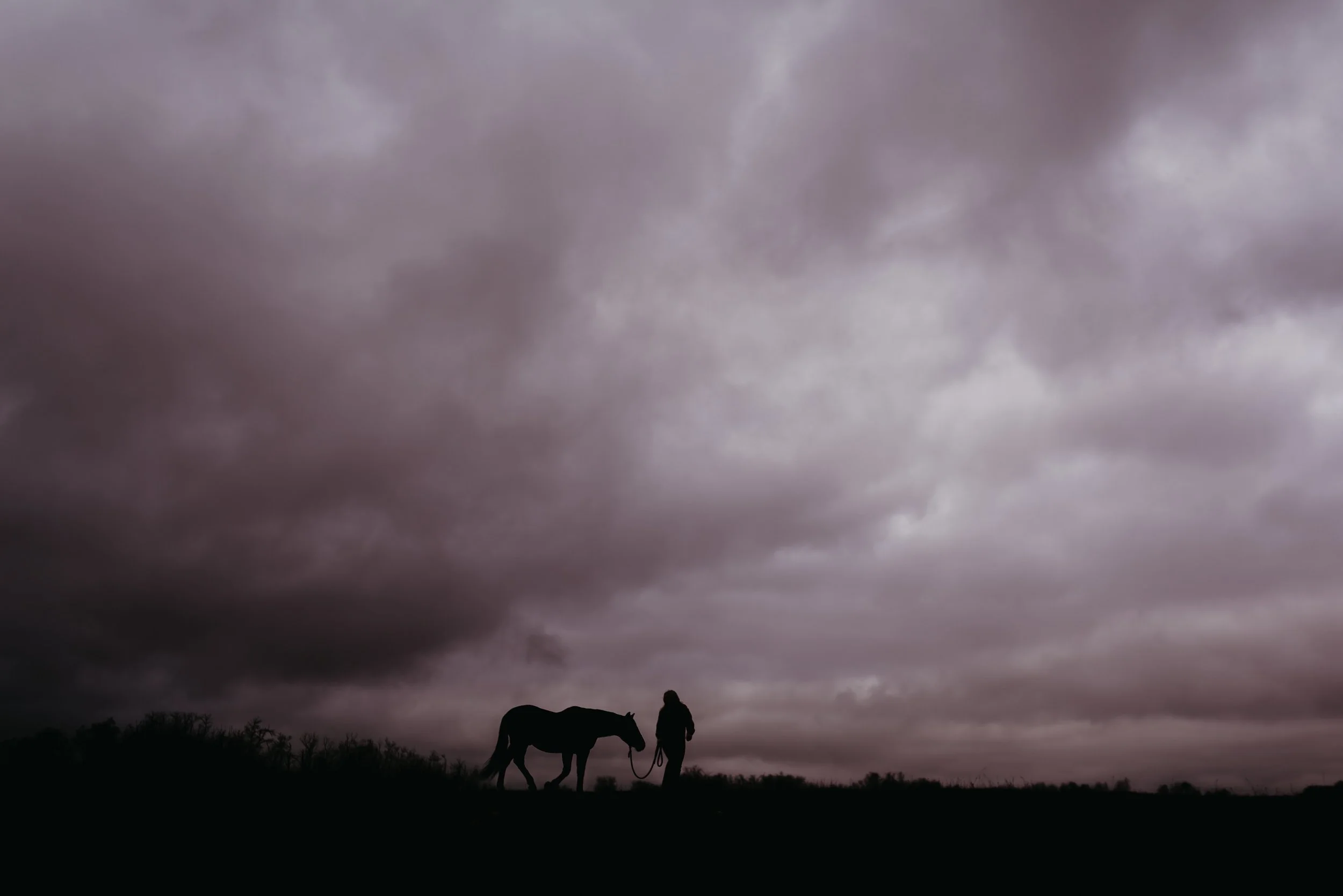 Meagan - heart horse