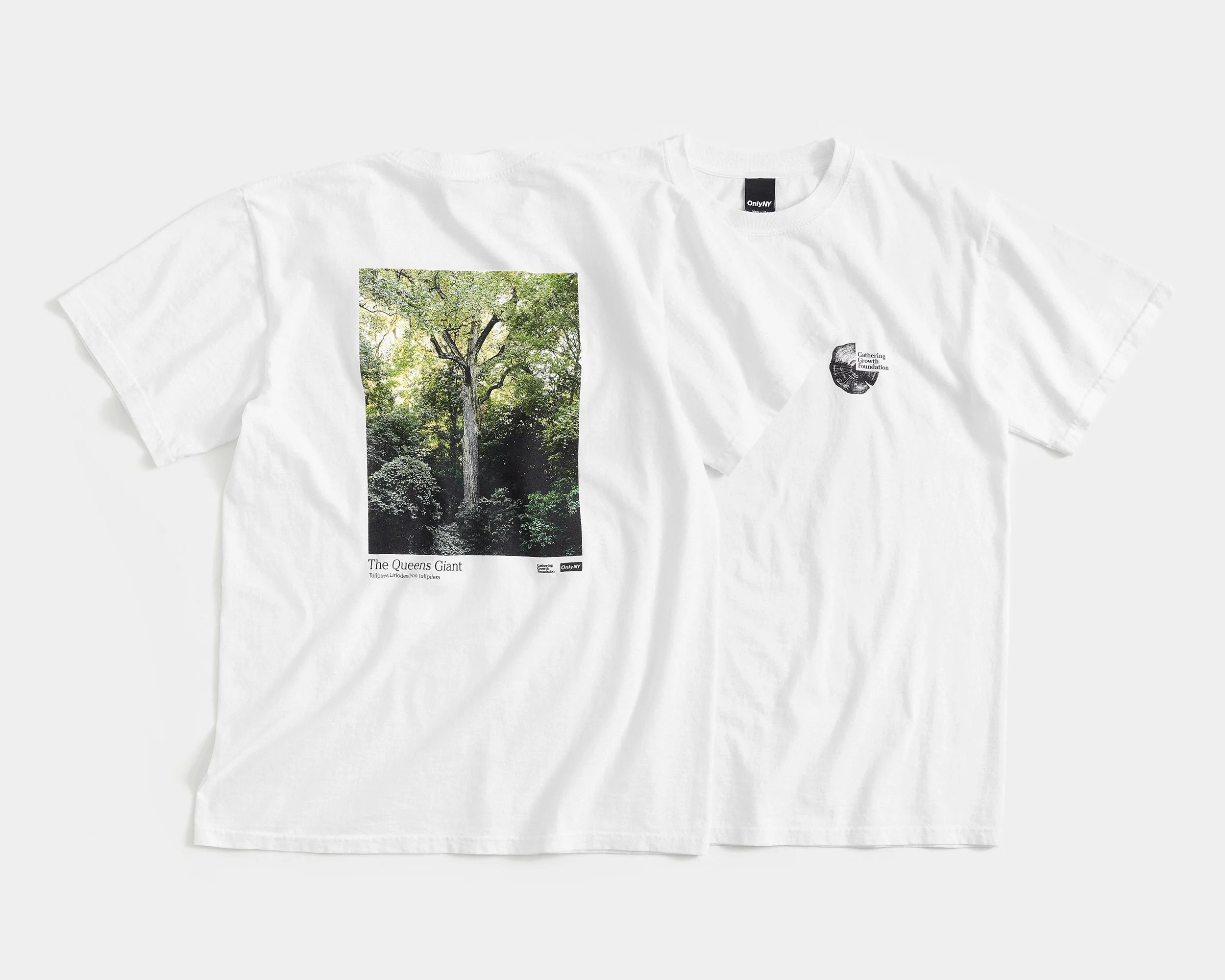 ONLYNY_062221_GATHERING_GROWTH_FOUNDATION_SHIRT_WHITE_0102.jpg