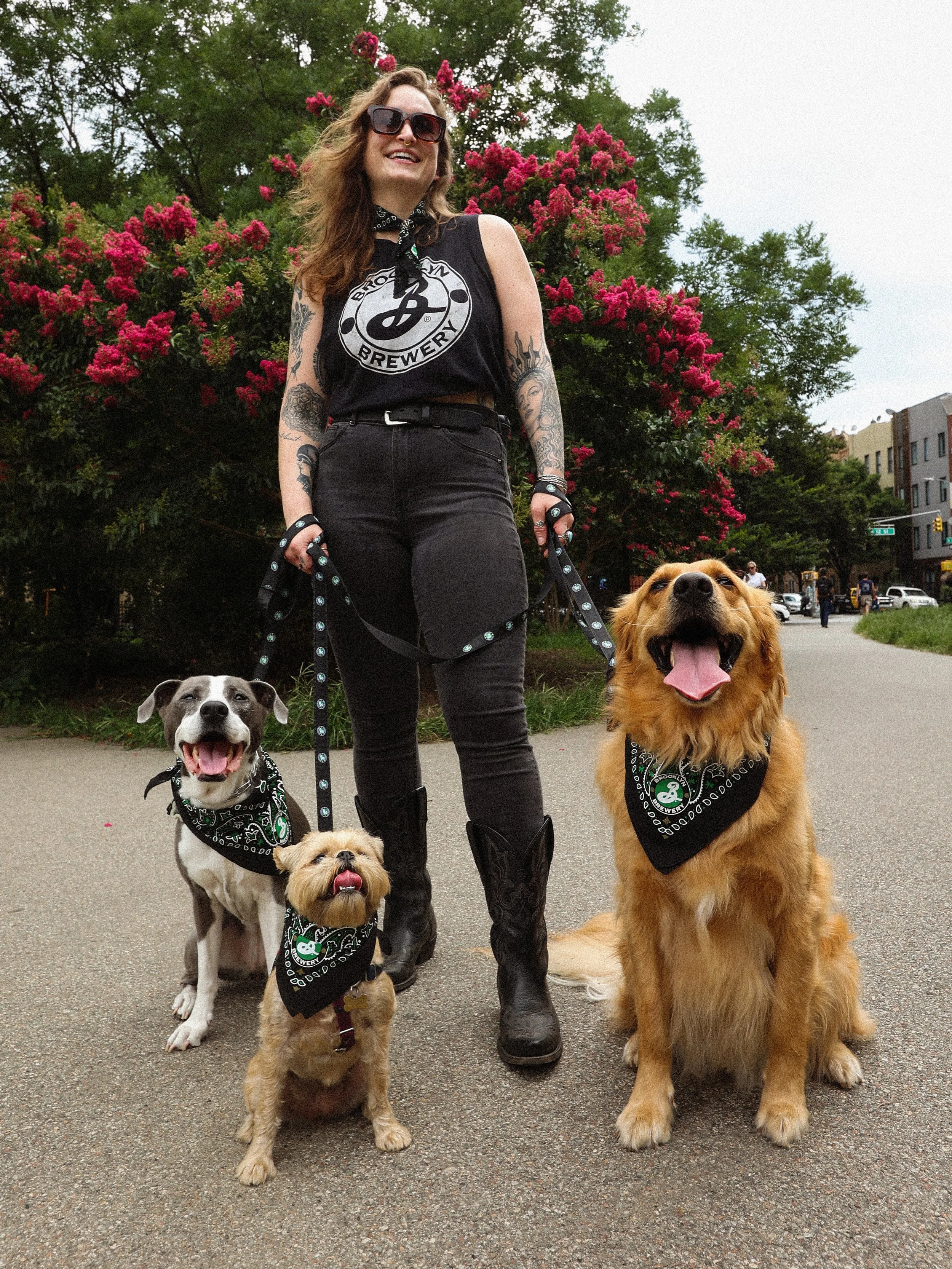 BrooklynBreweryDogCollection1.jpg