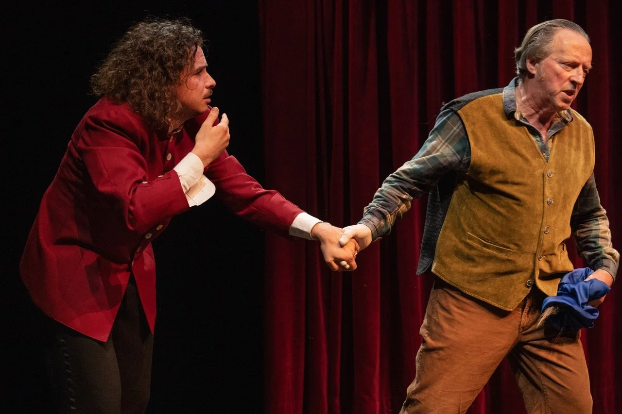 What the Butler Saw.