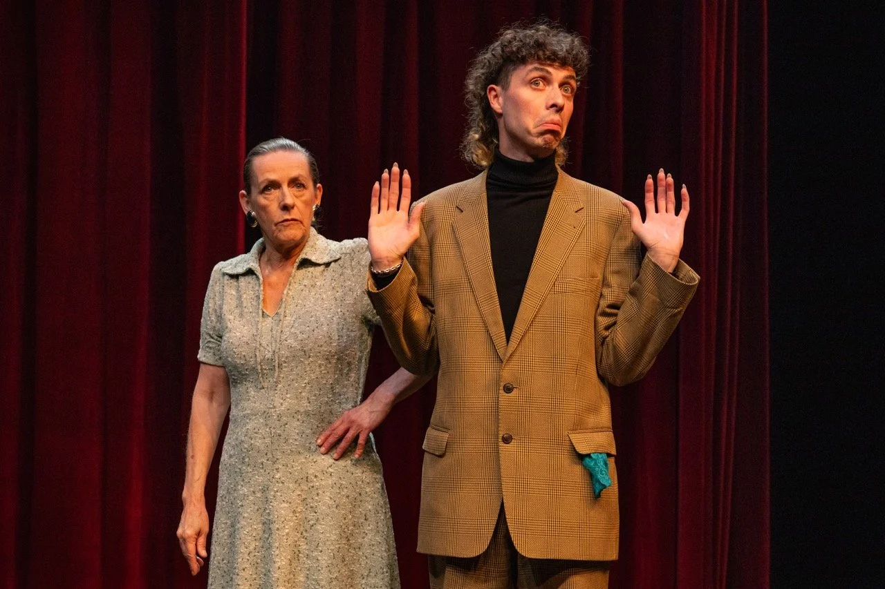 What the Butler Saw.