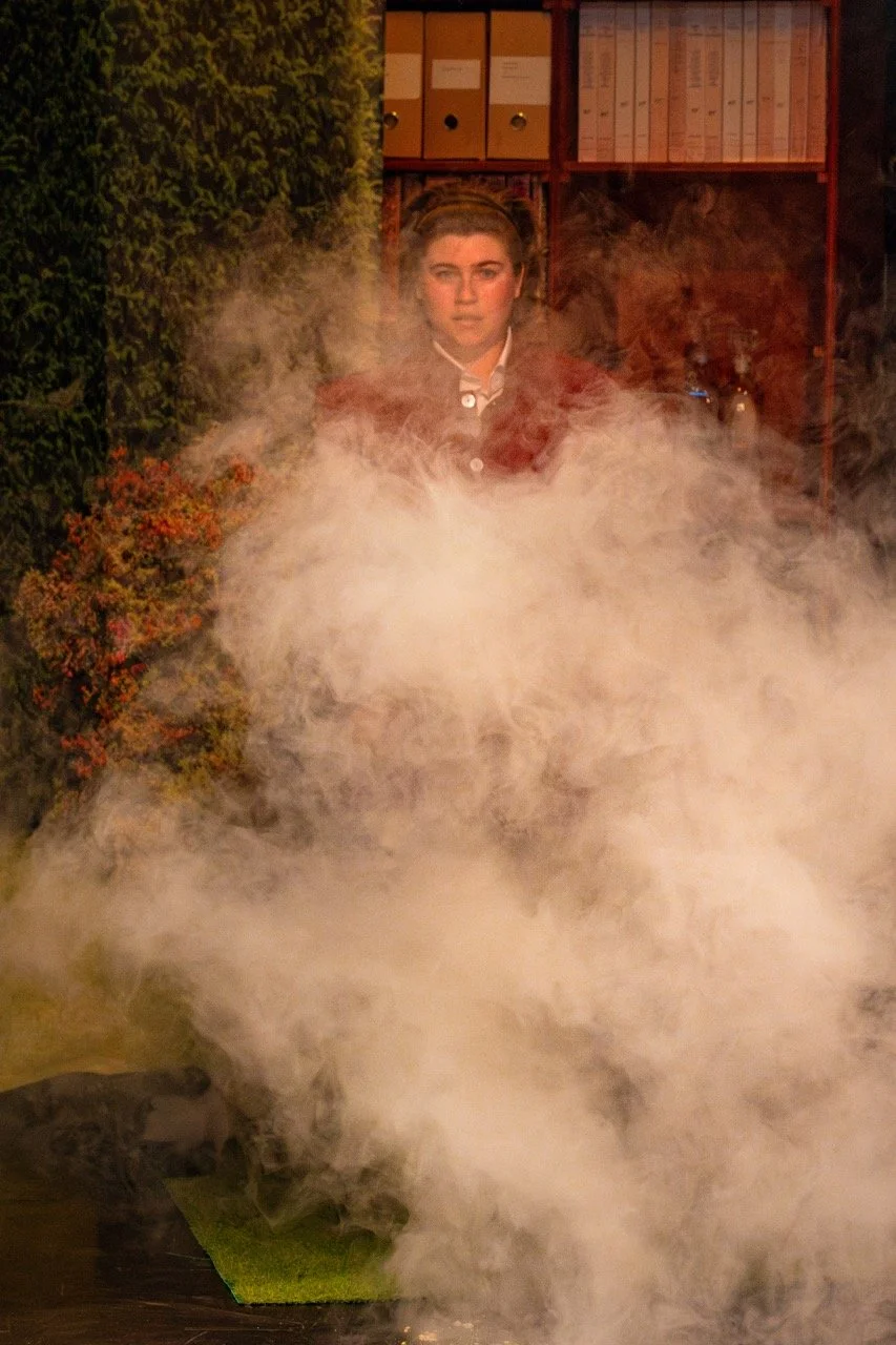 What the Butler Saw.