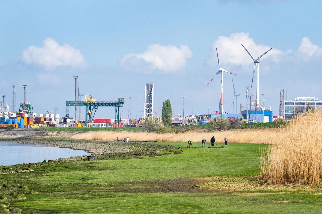 Olielek Antwerpse Haven.