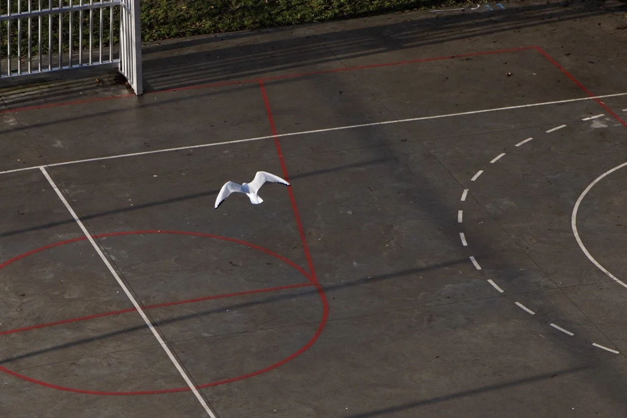 extrabeeld003 Groot.jpeg