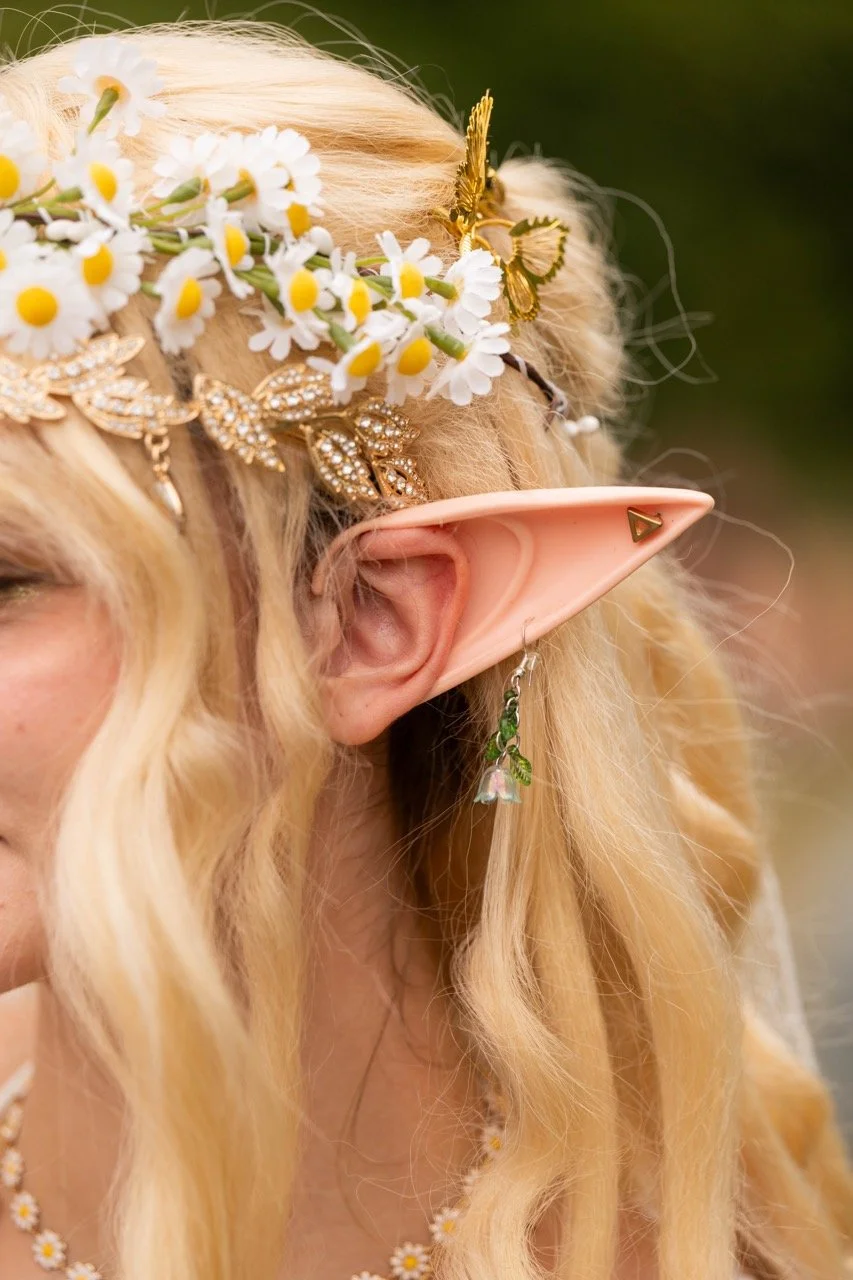 Elftopia 2026.