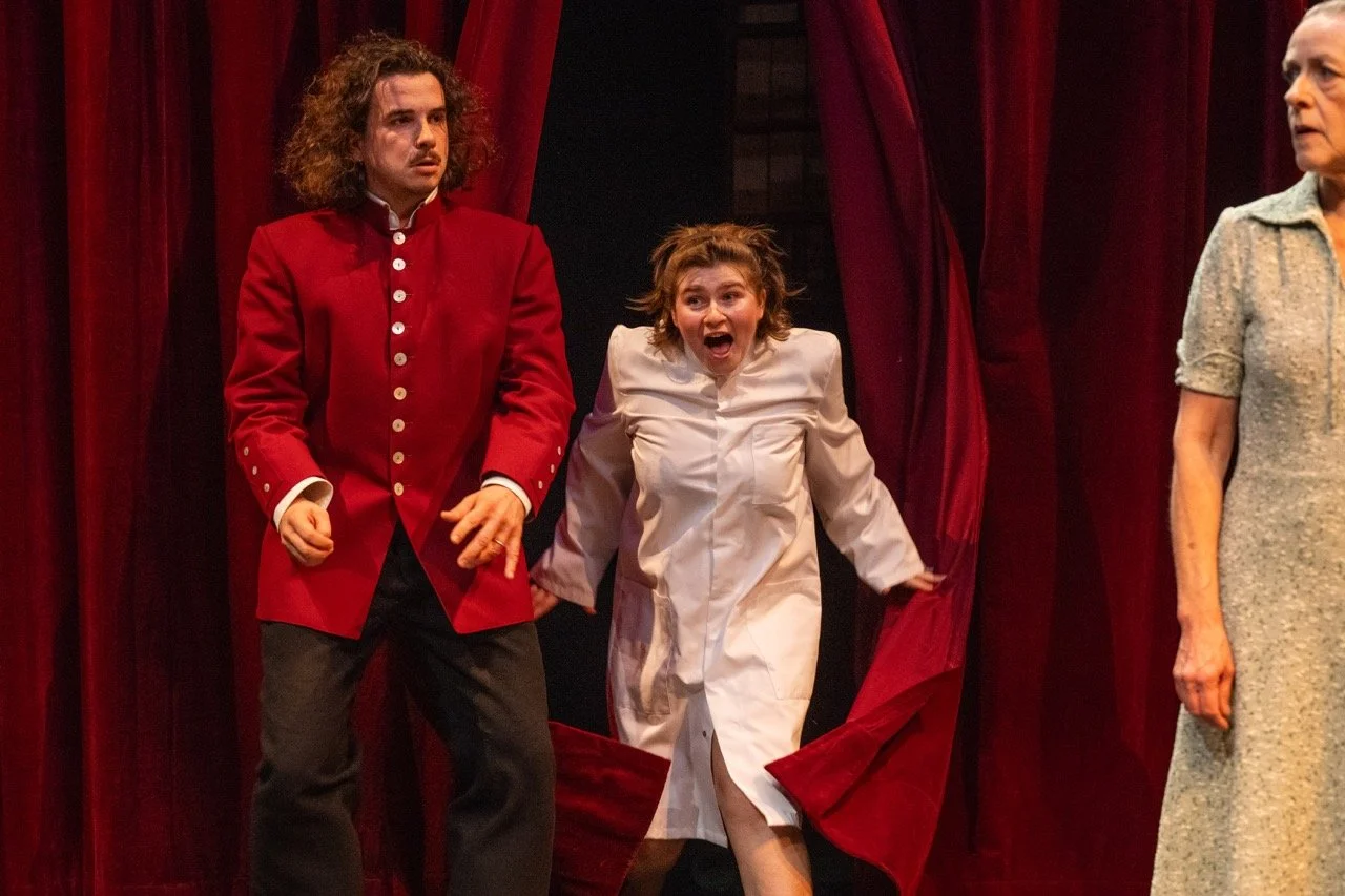 What the Butler Saw.