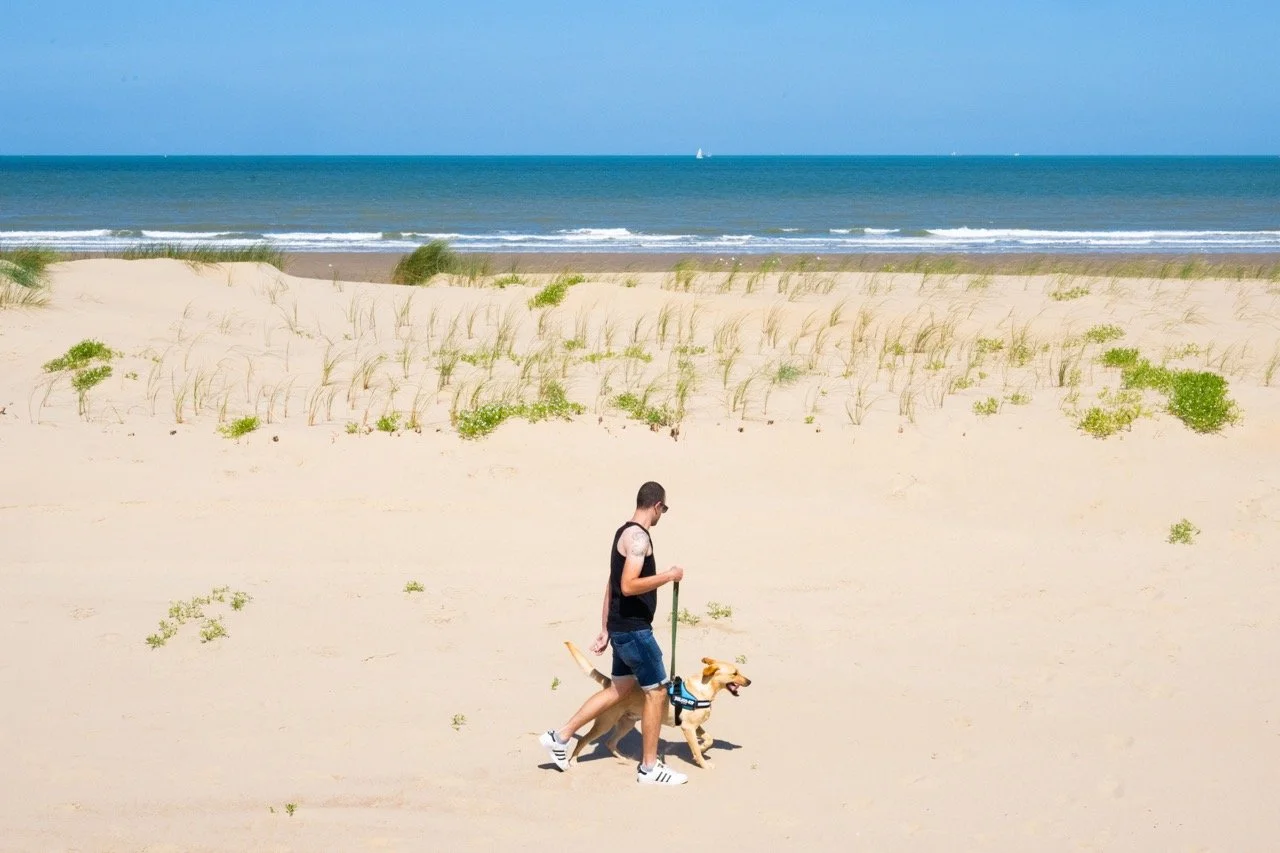 begroeiingsprojectRaversijde001 Groot.jpeg