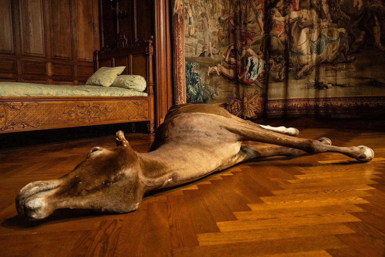 NeMoebliezMie024 Groot.jpeg