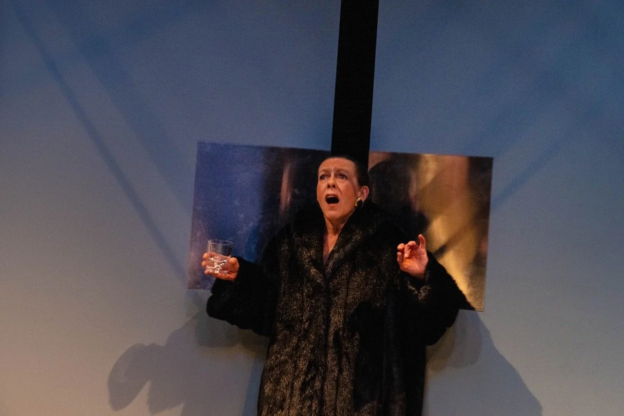 What the Butler Saw.