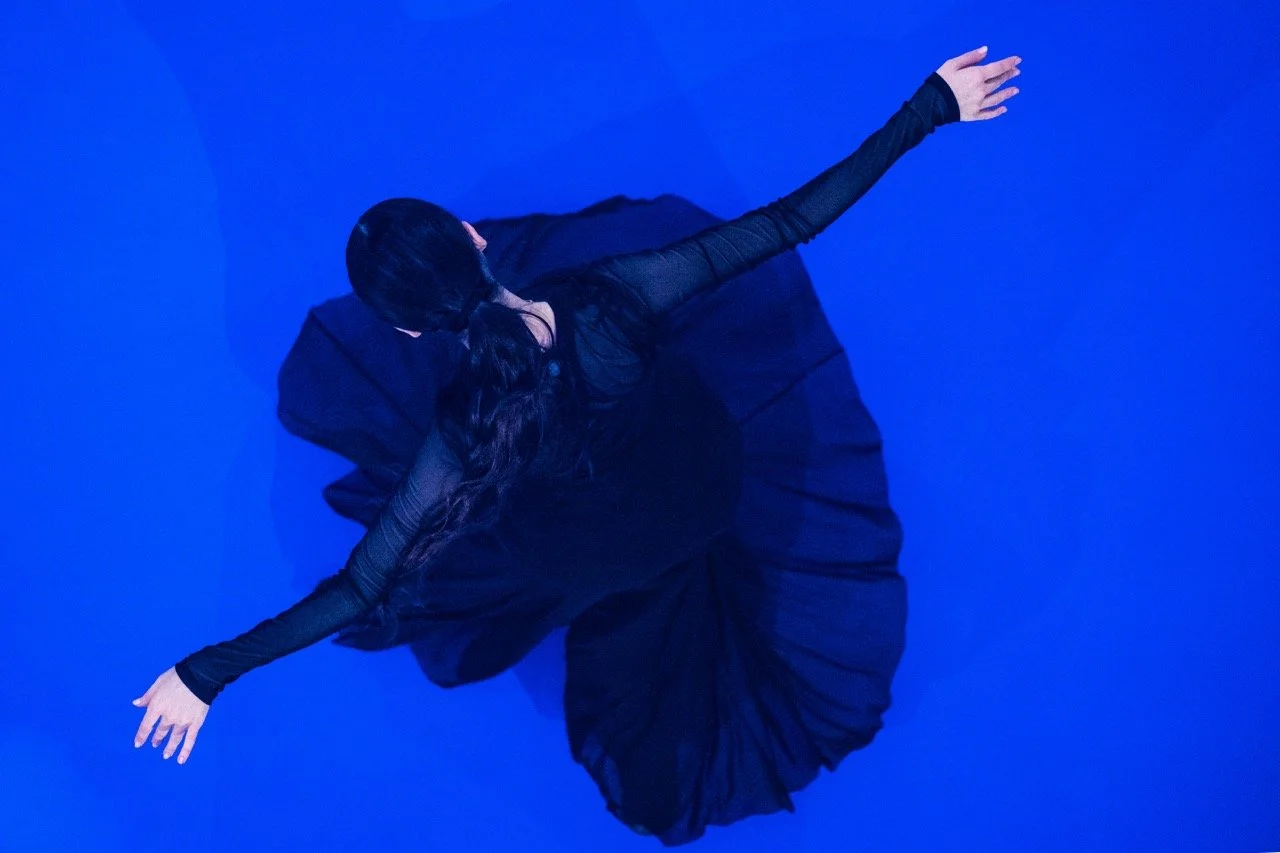 Chapters of Celebration. (Benjamin Abel Meirhaeghe).