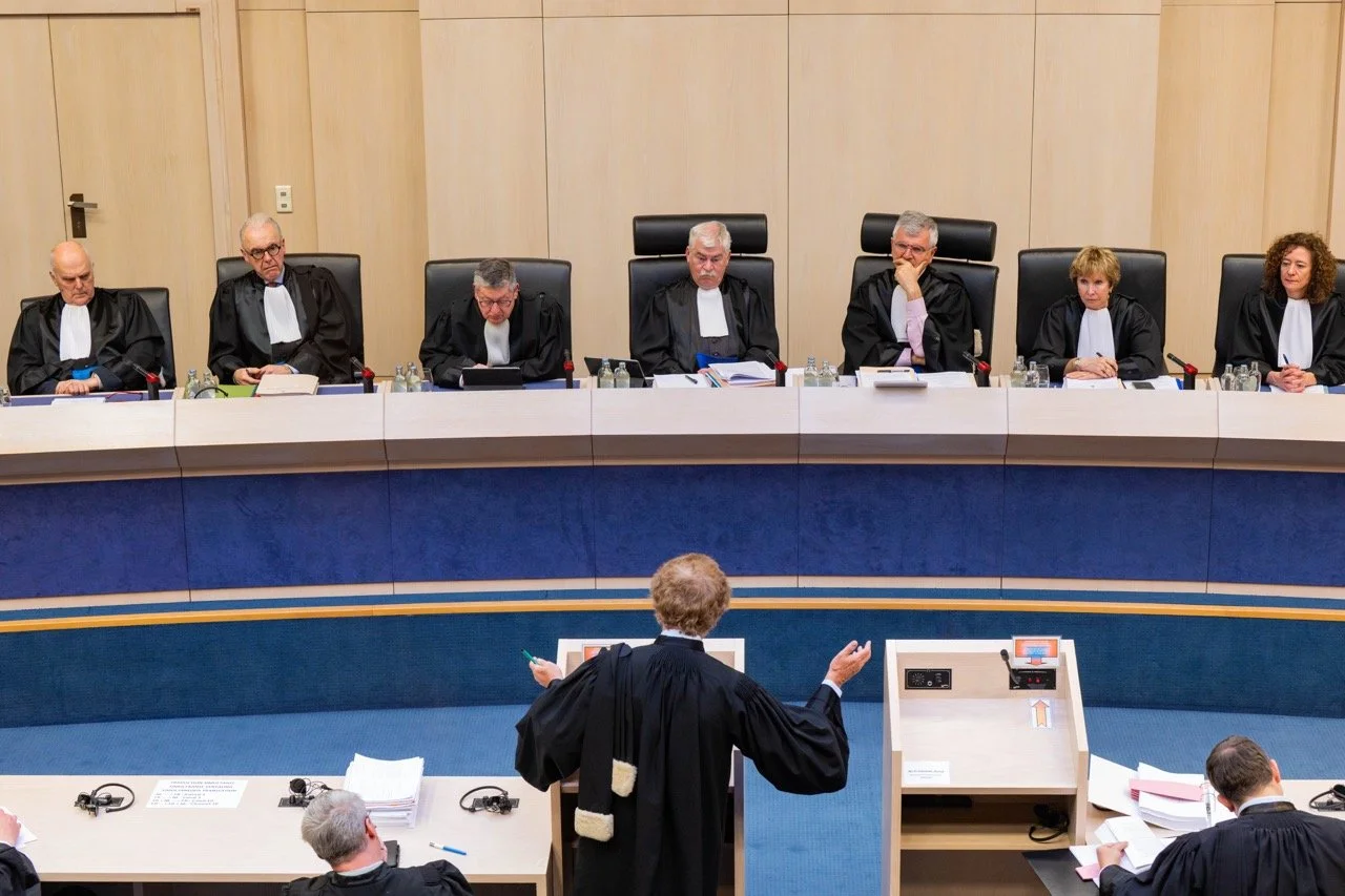 Het Grondwettelijk Hof.