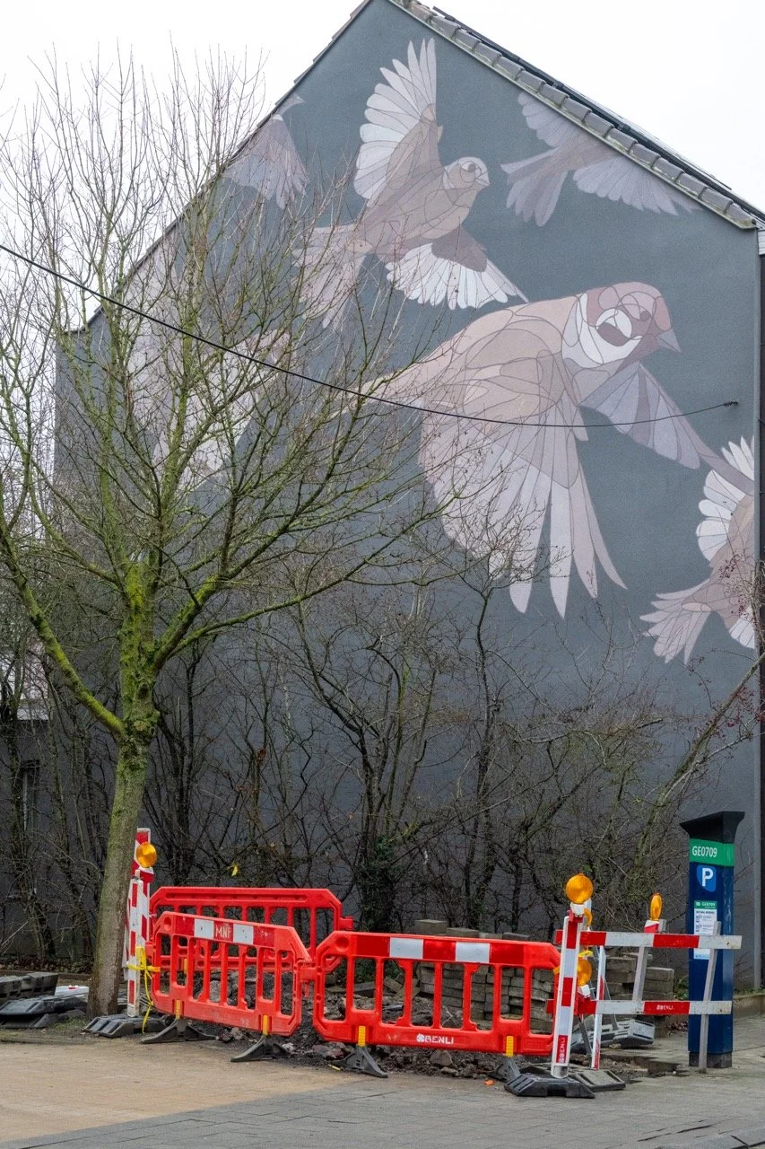 Opengebroken voetpaden.