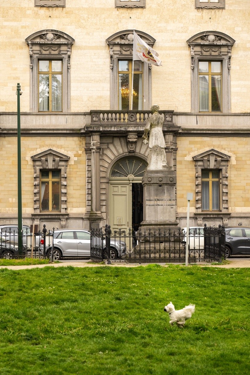 De Raad van State