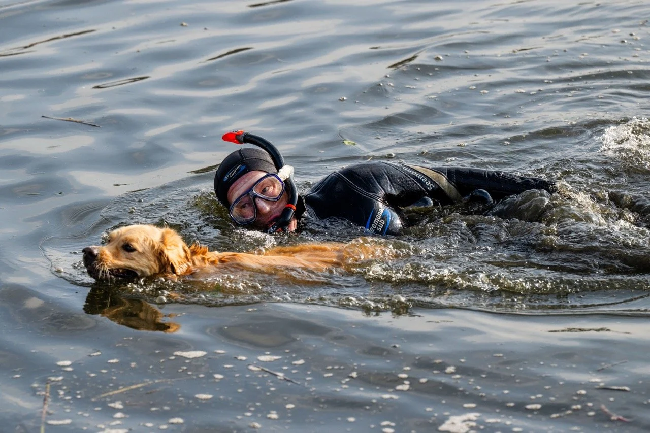 Hondenzwemming.