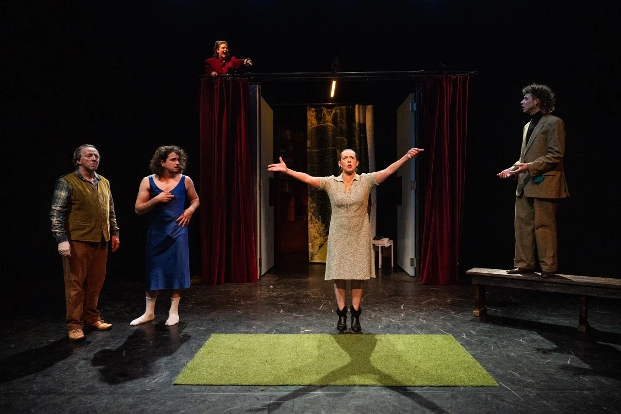 What the Butler Saw.