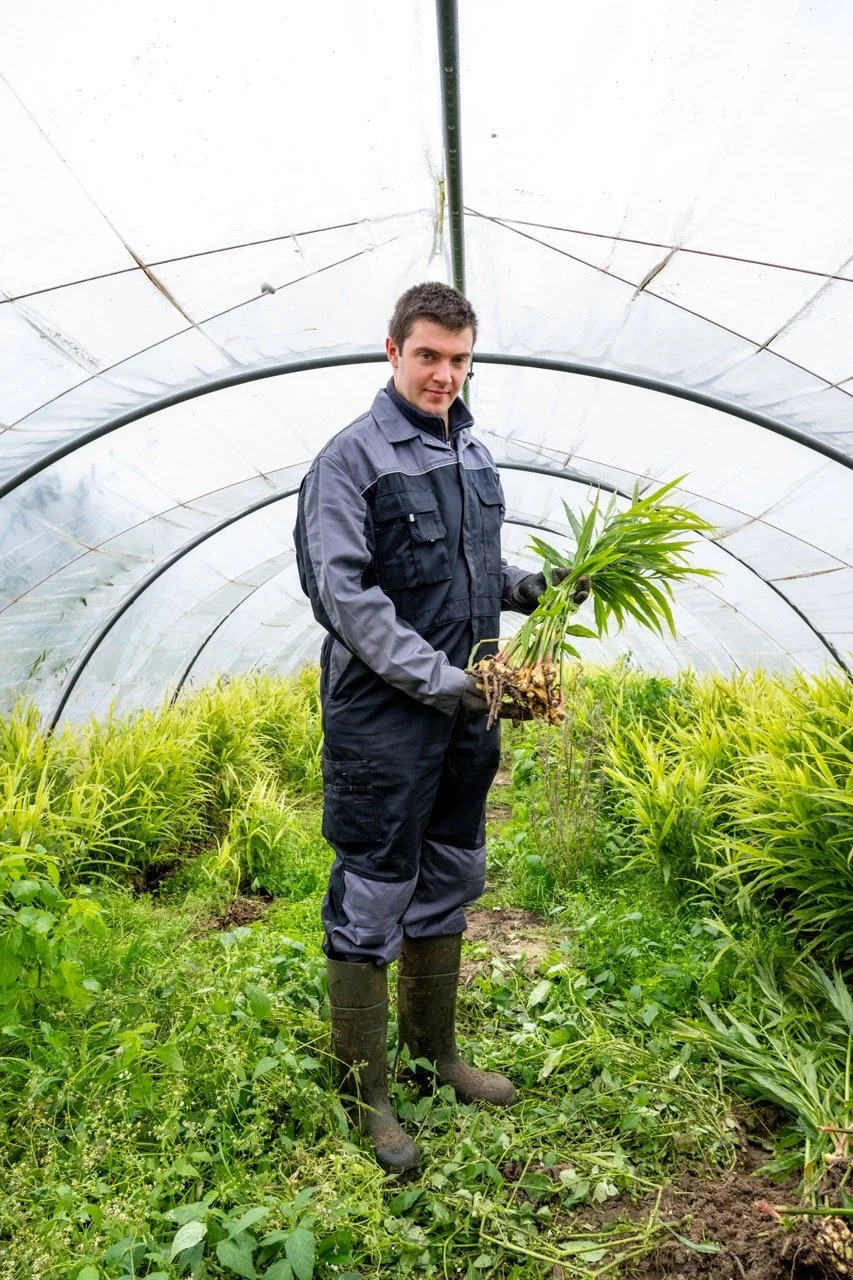 Gemberboer in Deinze.