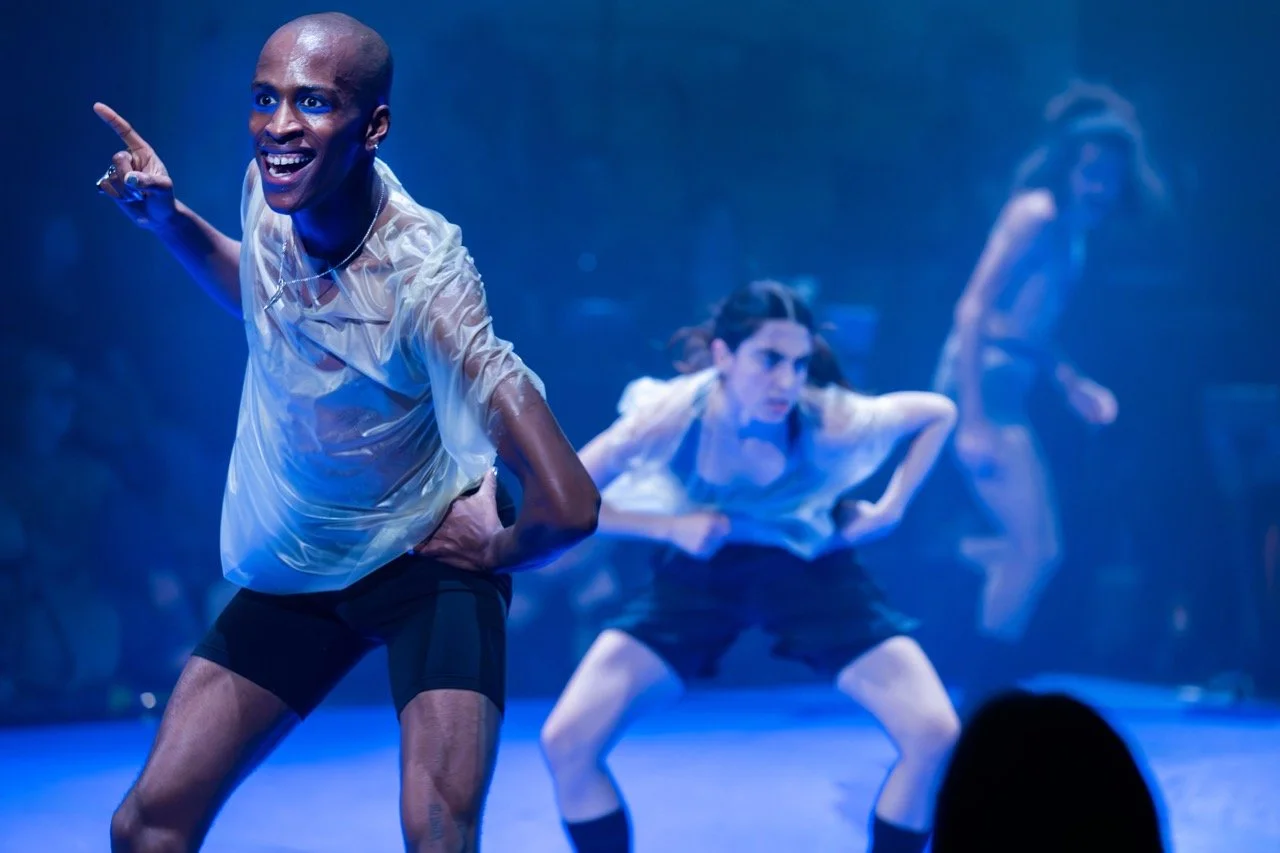 Chapters of Celebration. (Benjamin Abel Meirhaeghe).