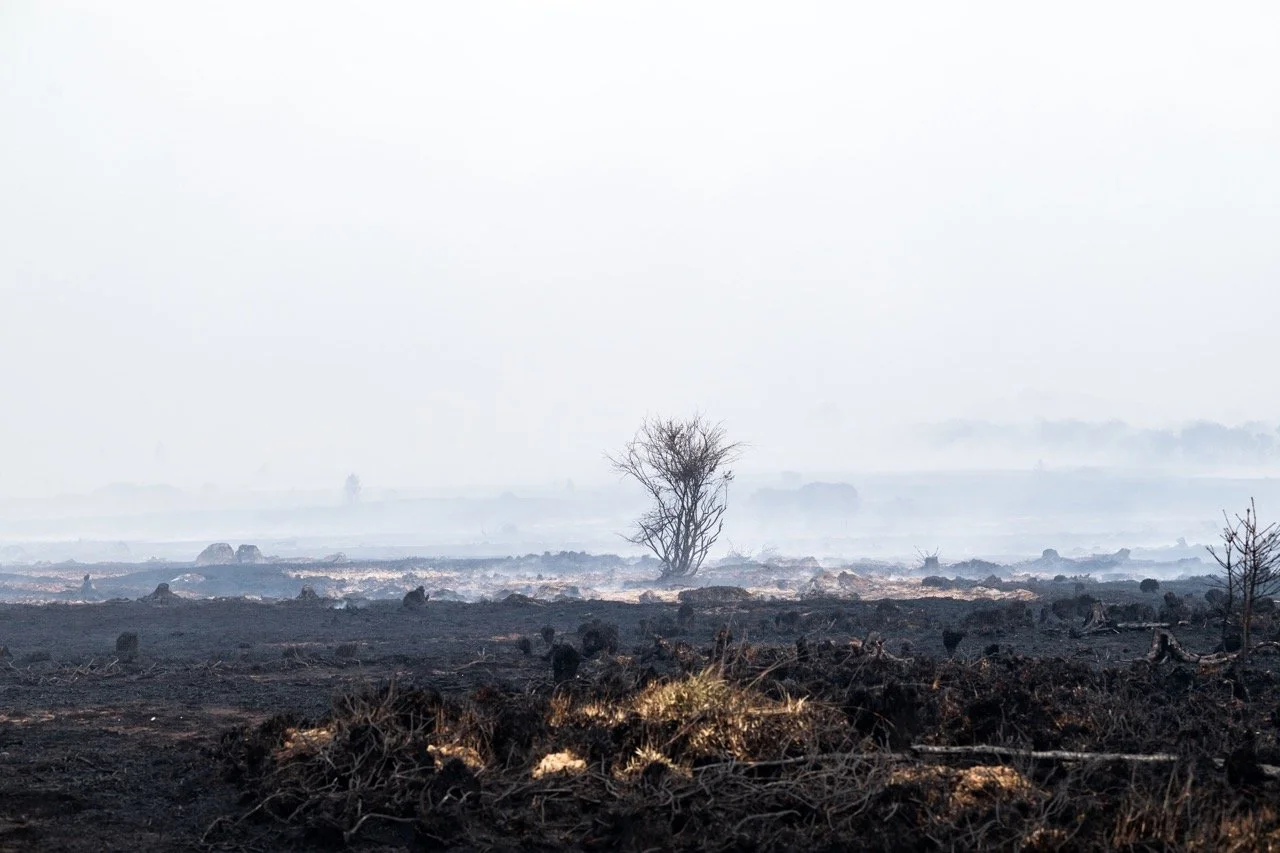 Brand in de Hoge Venen.