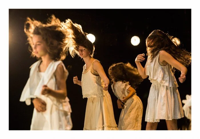 Het Hamiltoncomplex, Lies Pauwels.