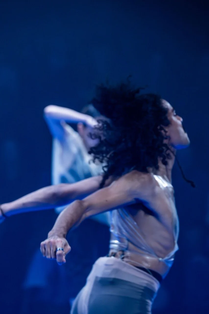 Chapters of Celebration. (Benjamin Abel Meirhaeghe).