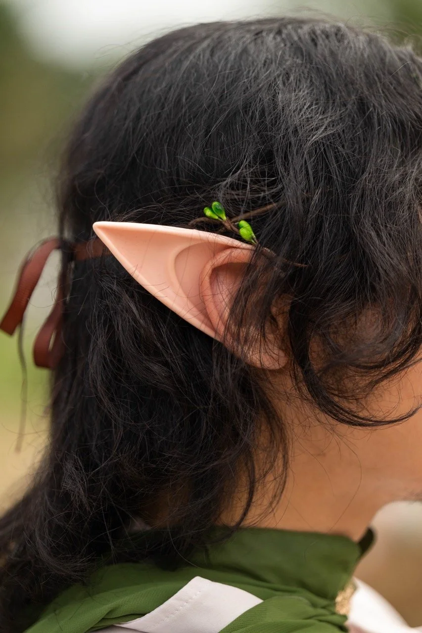 Elftopia 2026.