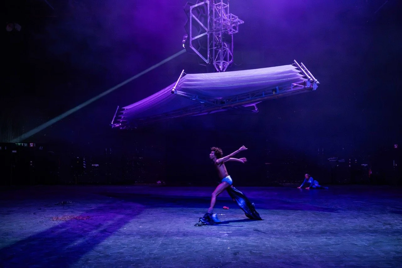 Shelly Shonk Fiffit.