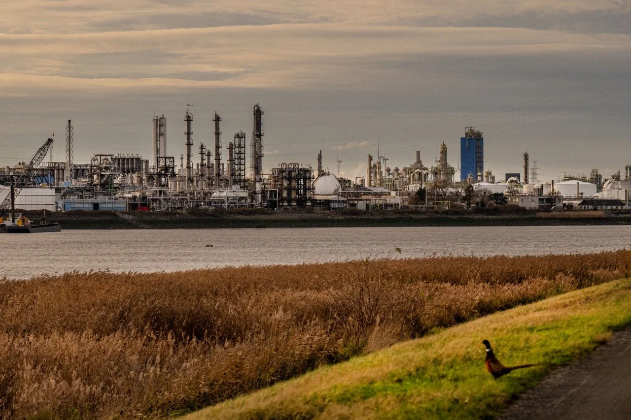 Chemie-industrie in de Antwerpse haven.