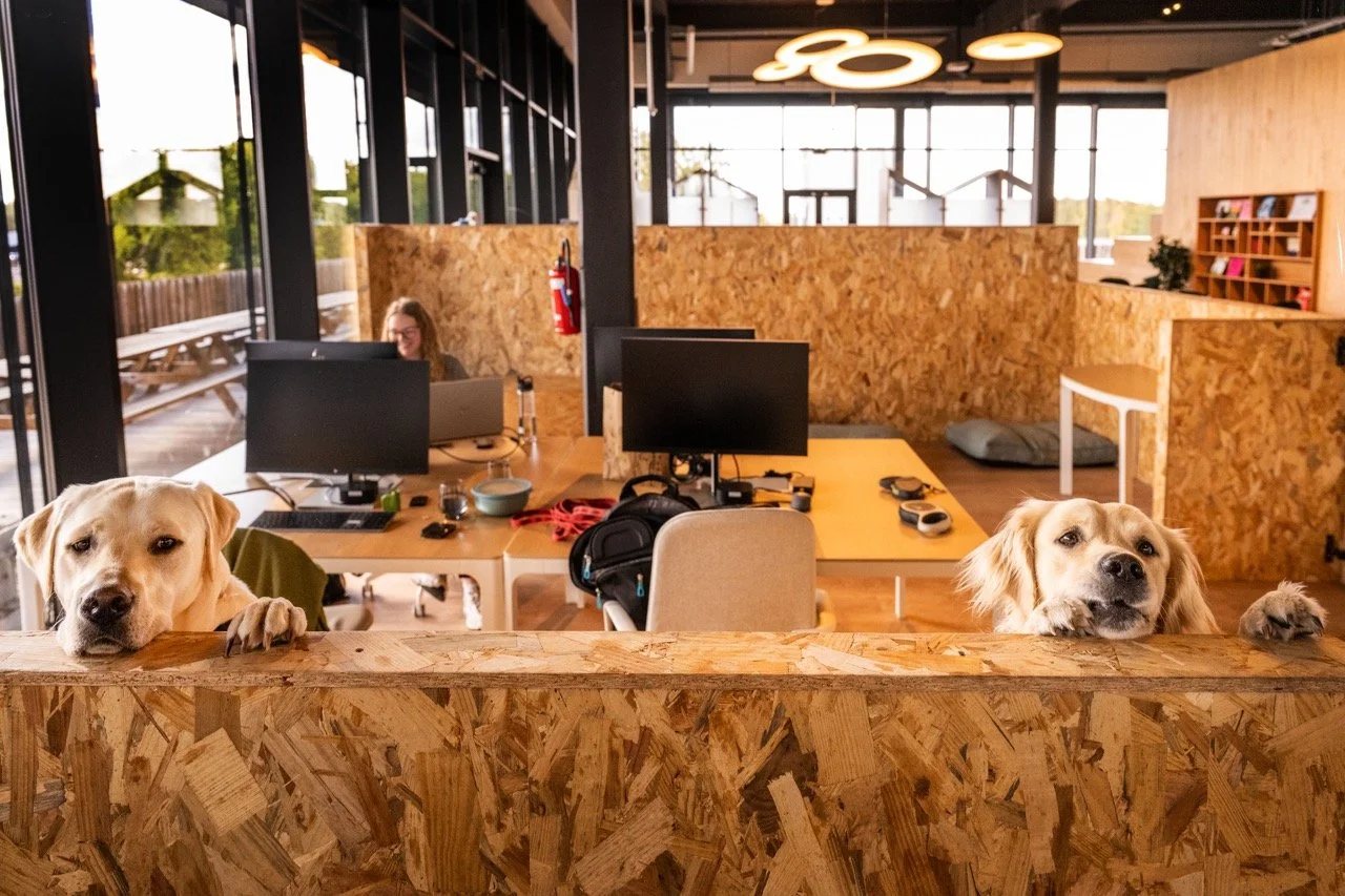 Edgard Cooper, bedrijf met honden op de werkvloer.