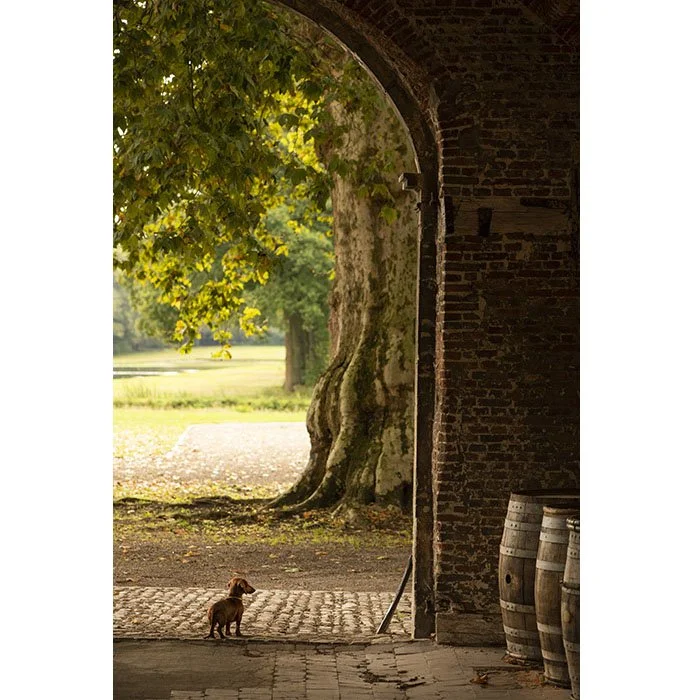 PrinsSimonDeMerodeKasteelWesterlo016 kopiëren.jpg