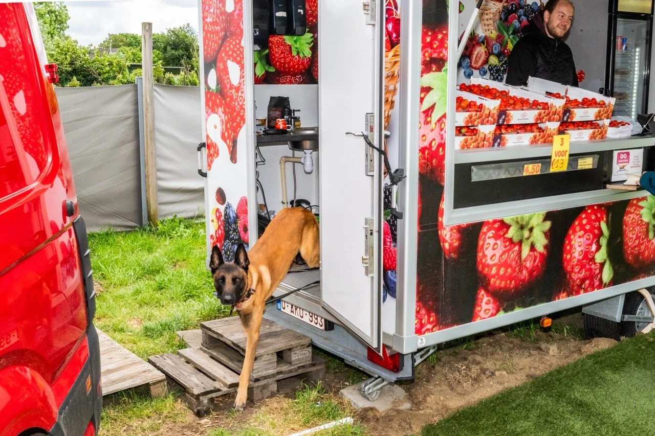 Aardbeikraampjes langs de steenwegen.