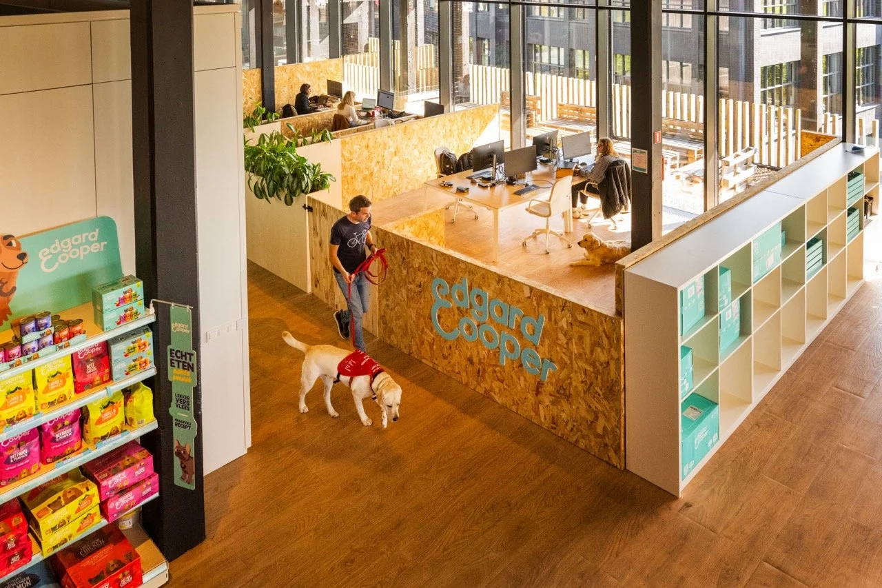 Edgard Cooper, bedrijf met honden op de werkvloer.
