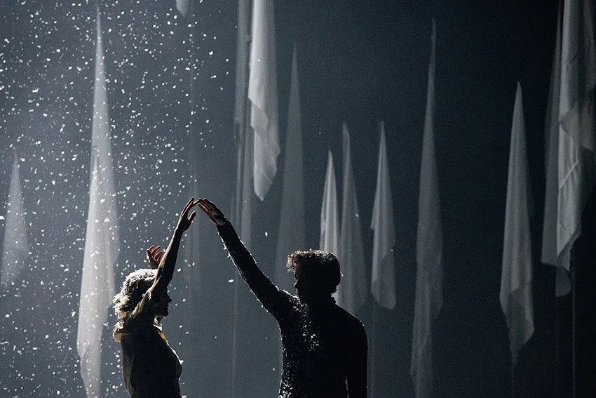 YELLOW - THE SORROWS OF BELGIUM II: REX