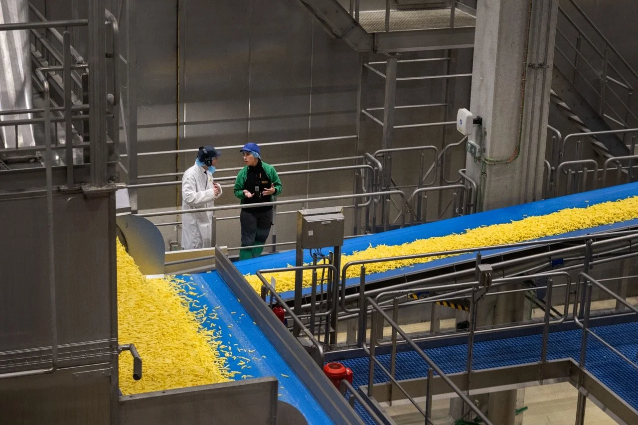 frietfabriek006 groot.jpeg