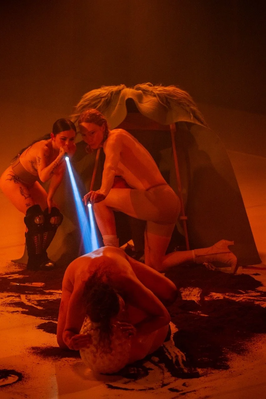 'A rite of Spring' new Benjamin Abel Meirhaege show.