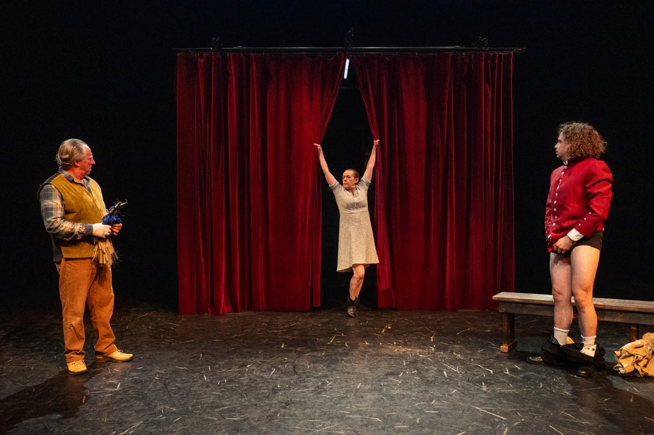 What the Butler Saw.