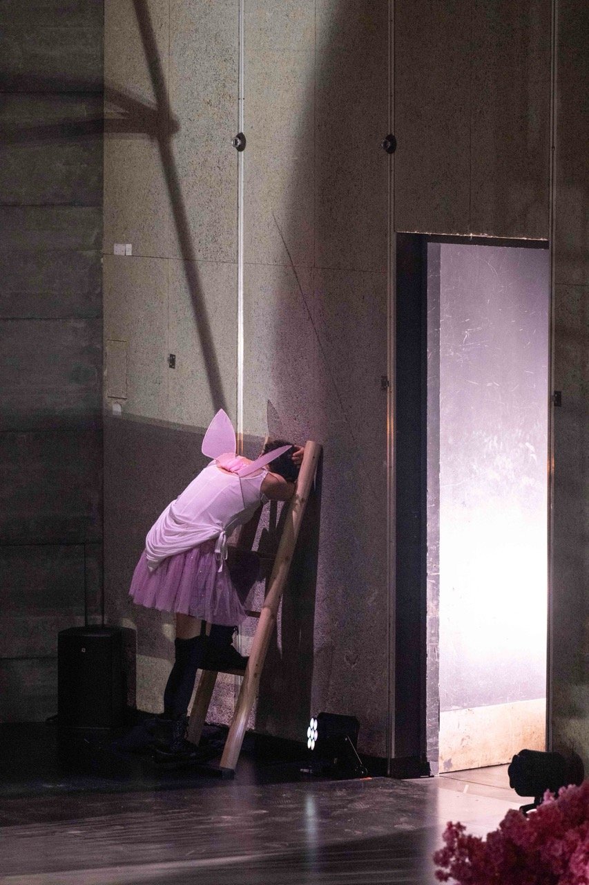 Jeanne Dark (Lies Pauwels for Theater Basel).