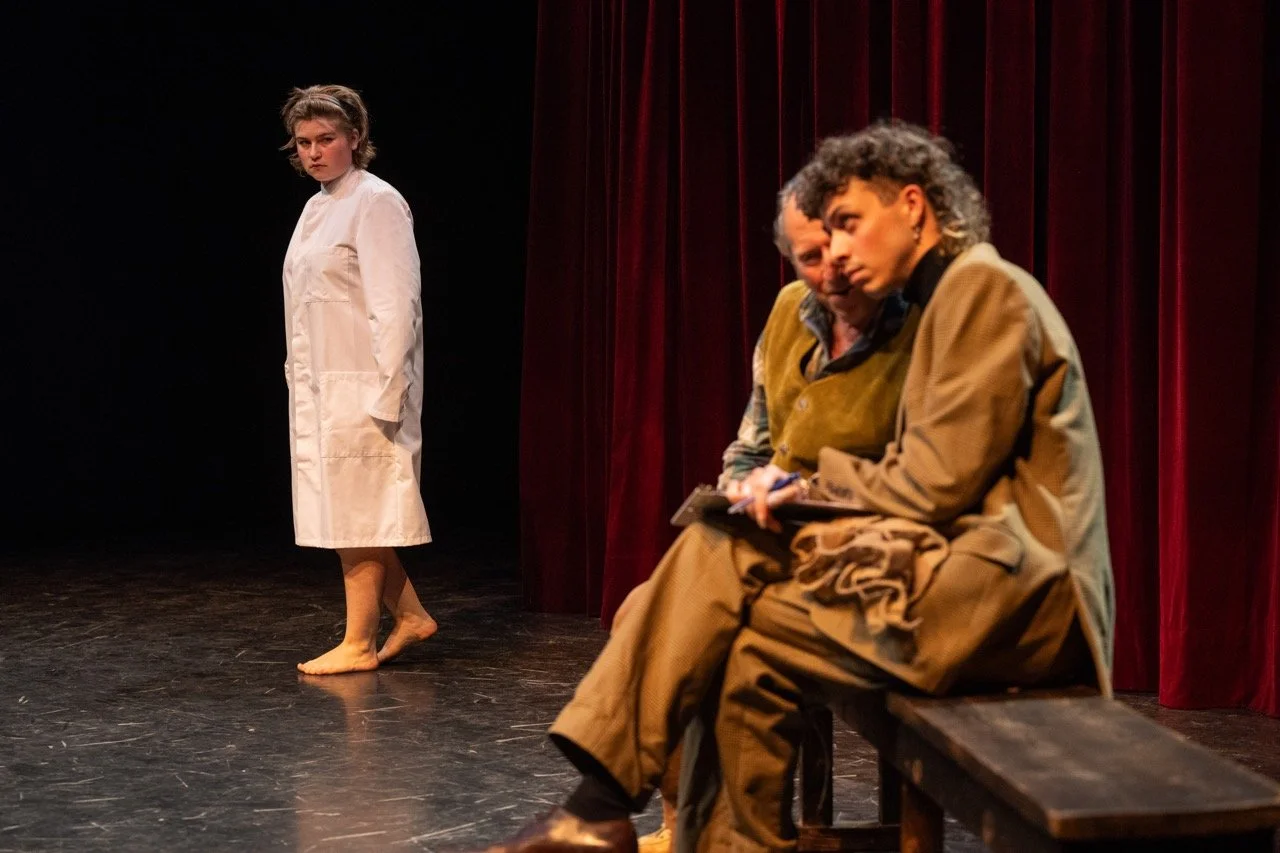 What the Butler Saw.