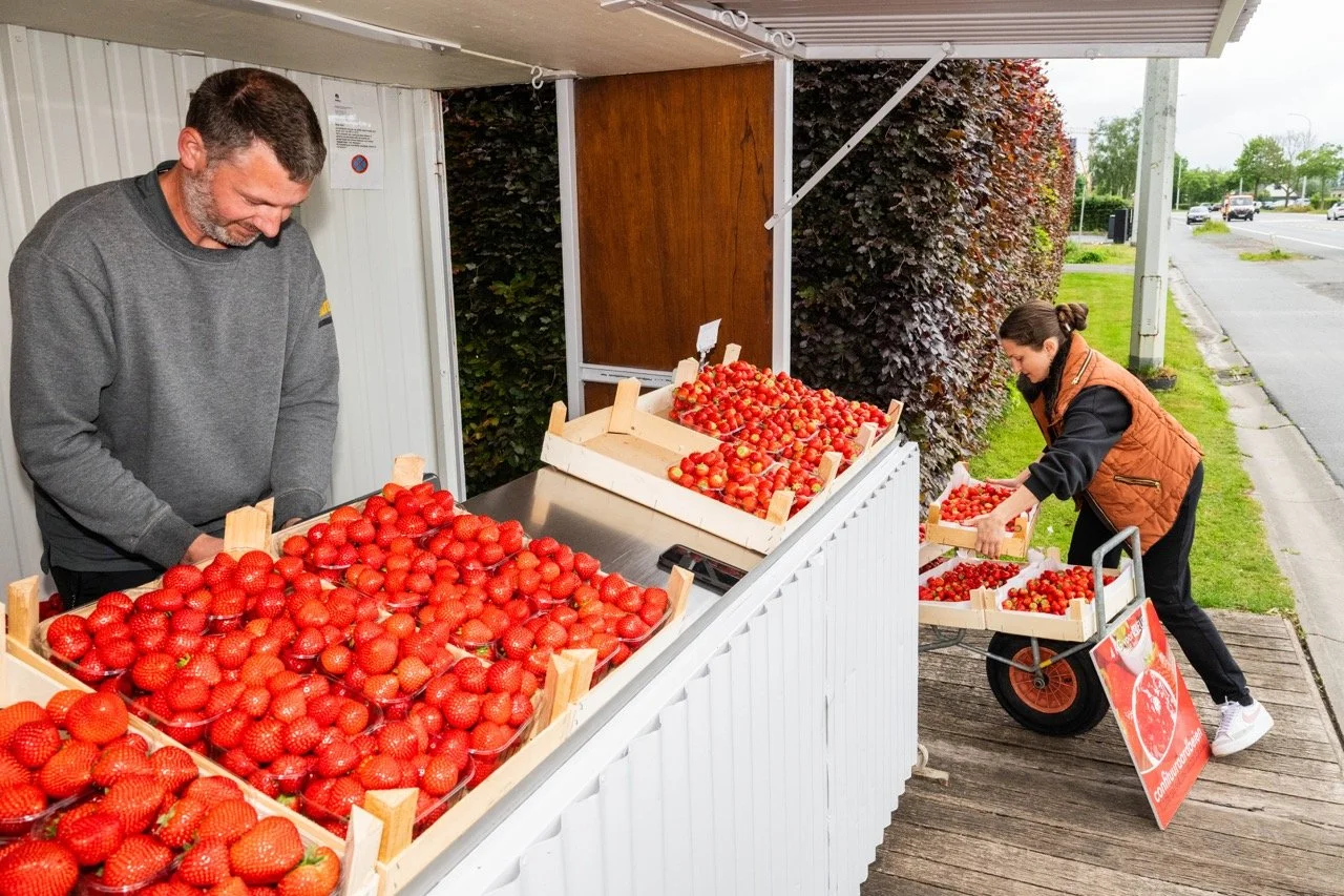 Aardbeikraampjes langs de steenwegen.