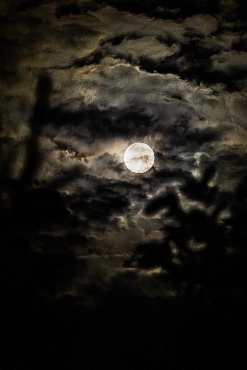 BlauweSupermaan001 groot.jpeg