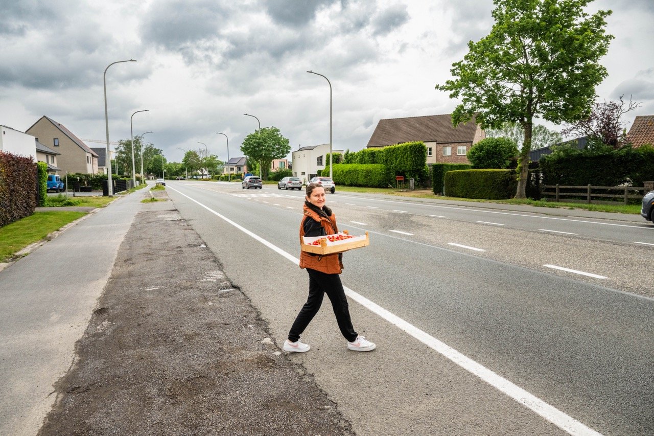 Aardbeikraampjes langs de steenwegen.
