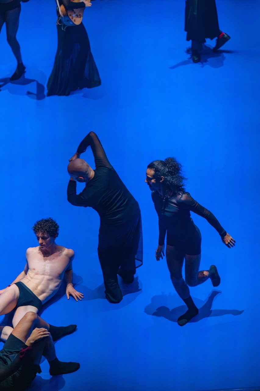 Chapters of Celebration. (Benjamin Abel Meirhaeghe).