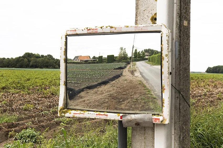 droogte026.jpg