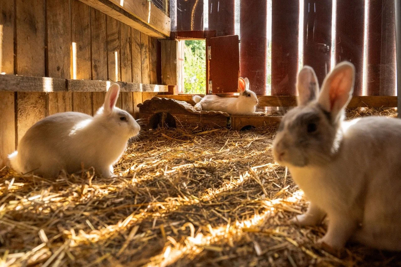 La Ferme du Chaudron.