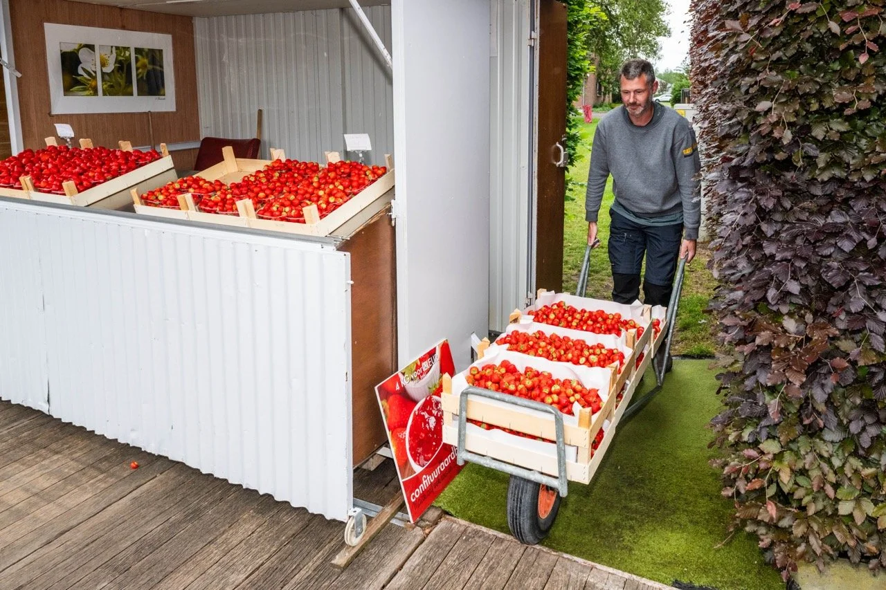 Aardbeikraampjes langs de steenwegen.