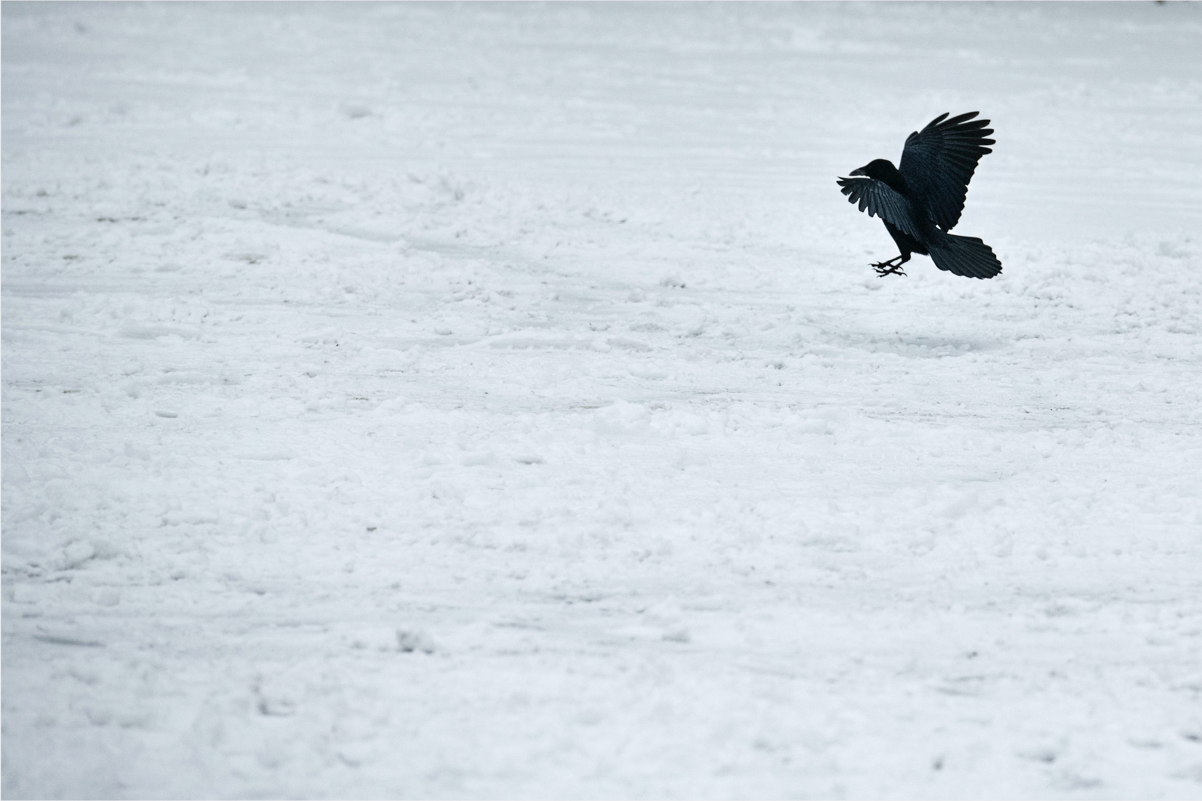 Schermafbeelding 2019-08-13 om 12.08.15.png