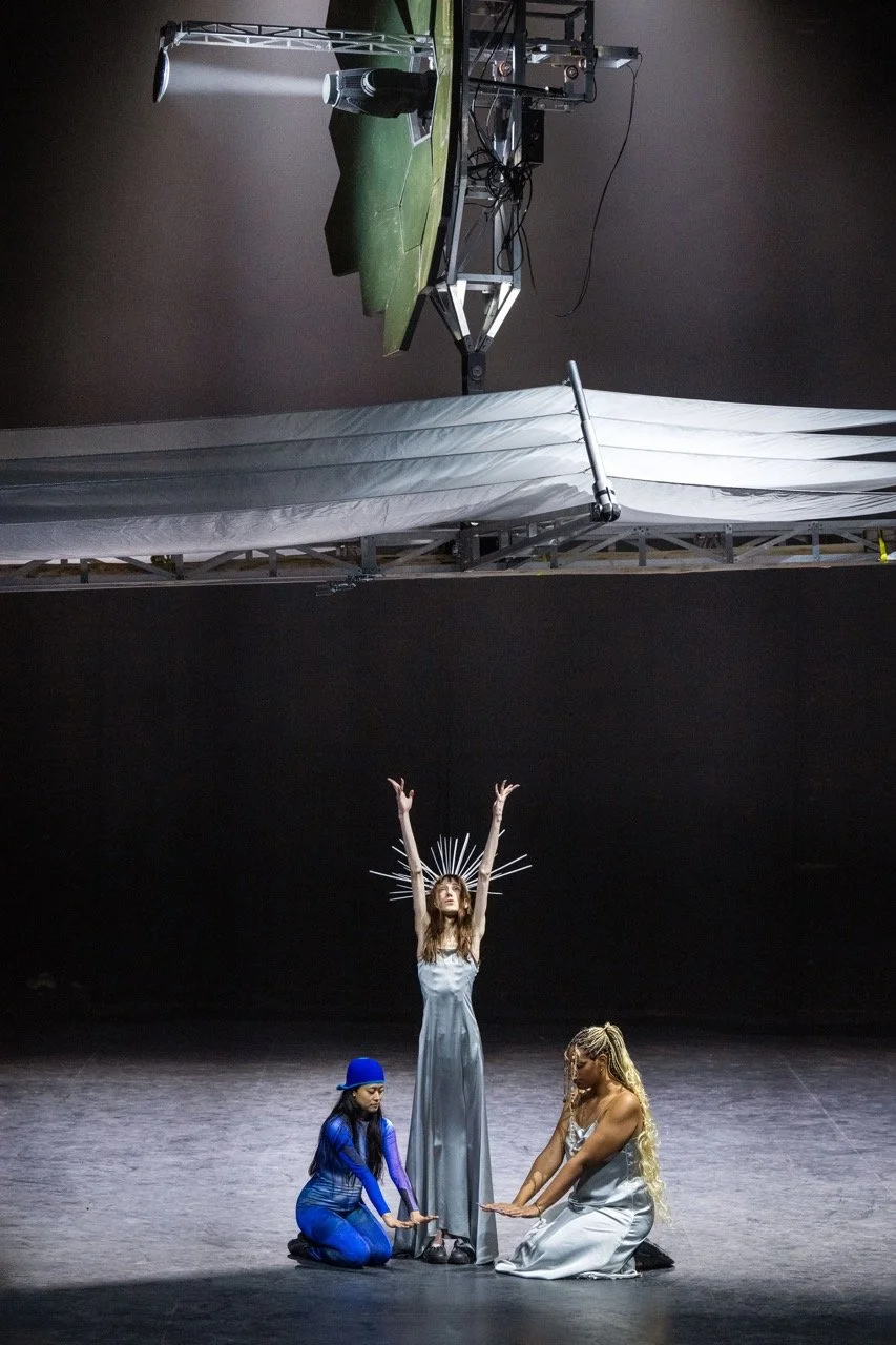 Shelly Shonk Fiffit.