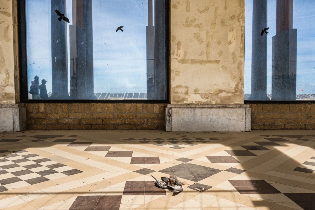 Thermae Palace in verval.