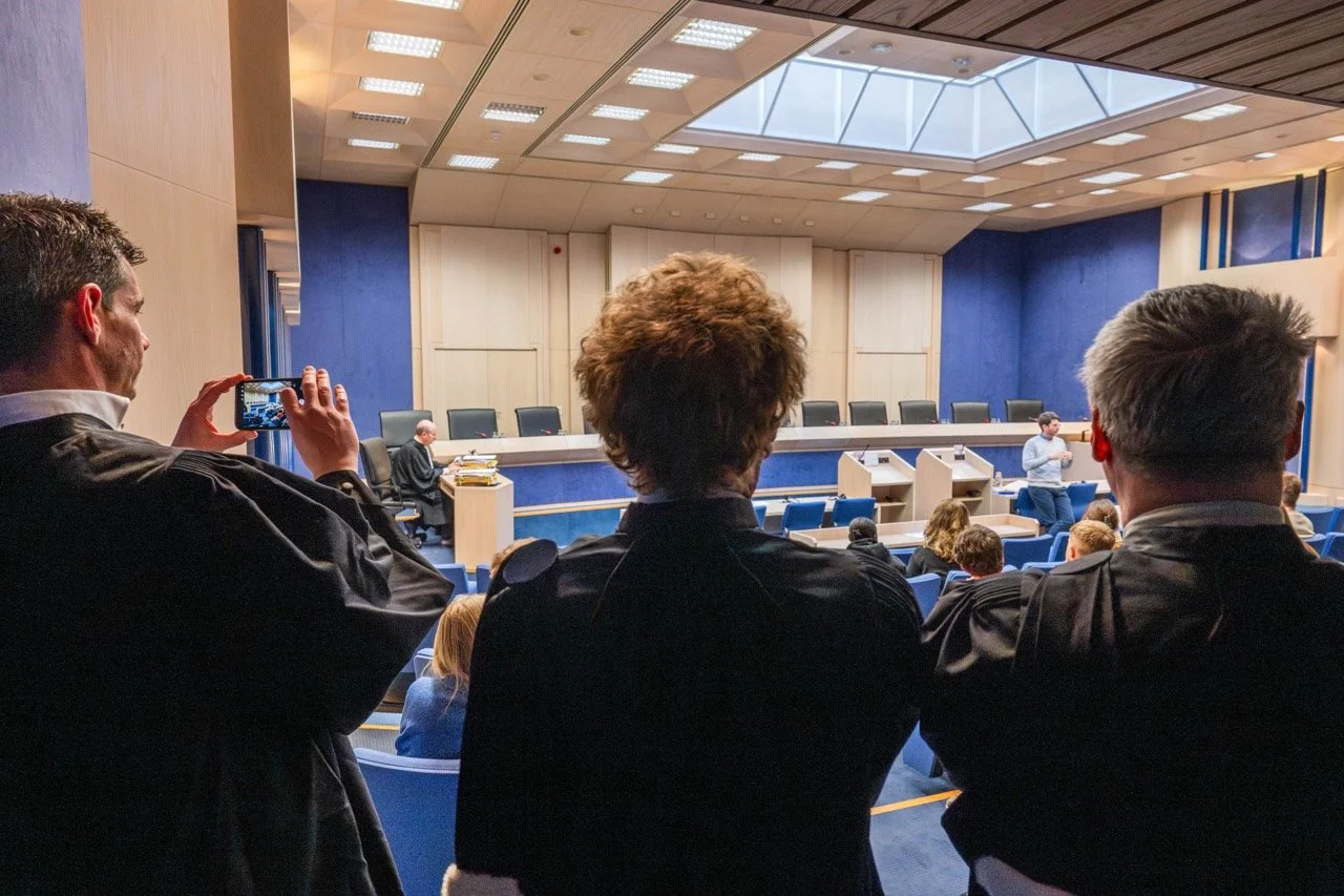 Het Grondwettelijk Hof.