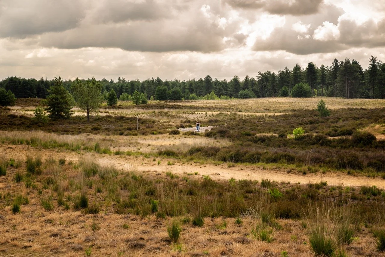 DeBrabantseWal014 Groot.jpeg